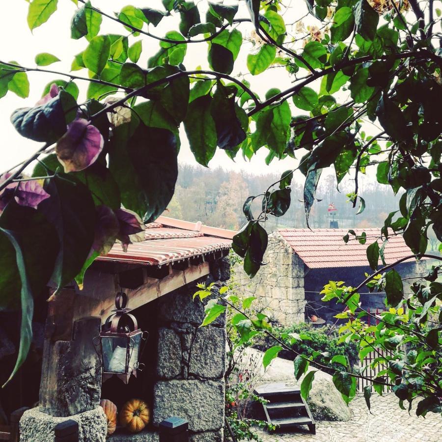 Casa Do Fundo - Sustainable & Ecotourism Guest House Seia Exterior foto